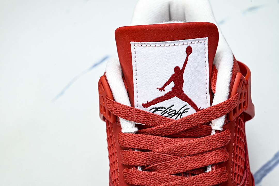 Air Jordan 4 FV5029-600