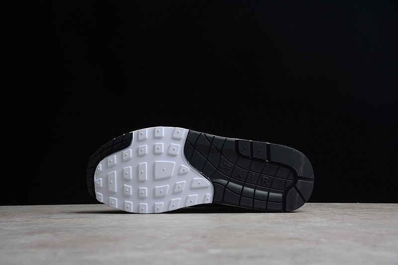 Patta x Nike Air Max 1 DQ0299-001