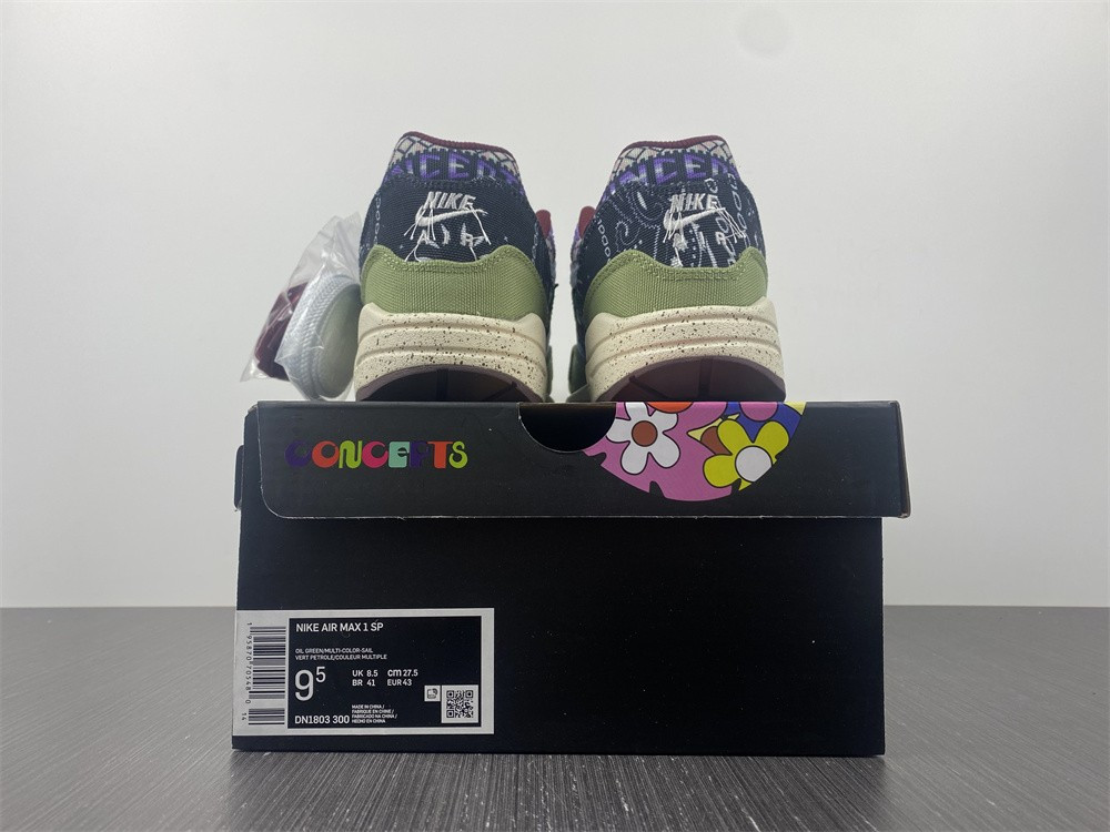 Nike Air Max 1 DN1803-300