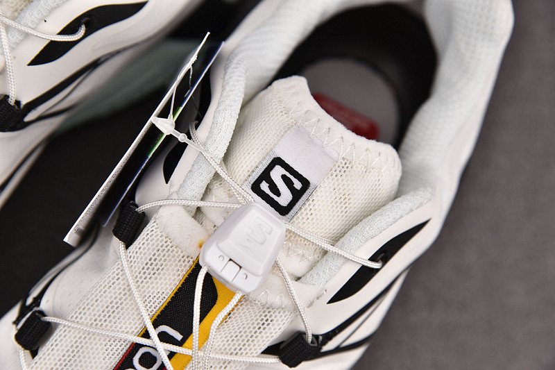 Salomon XT-6 413173