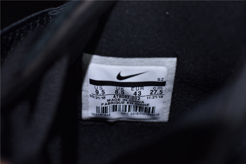 Nike Air Fear of God Raid 180 Black AT8087-002