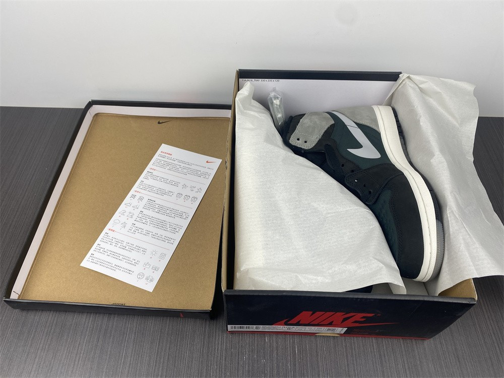 Air Jordan 1 Element Gore-Tex DB2889-001