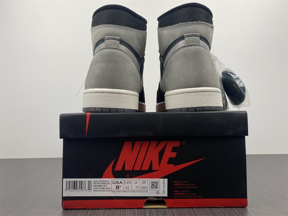 Air Jordan 1 Element Gore-Tex DB2889-001