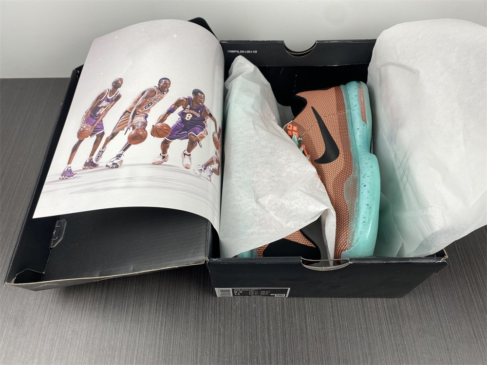 KOBE 10 