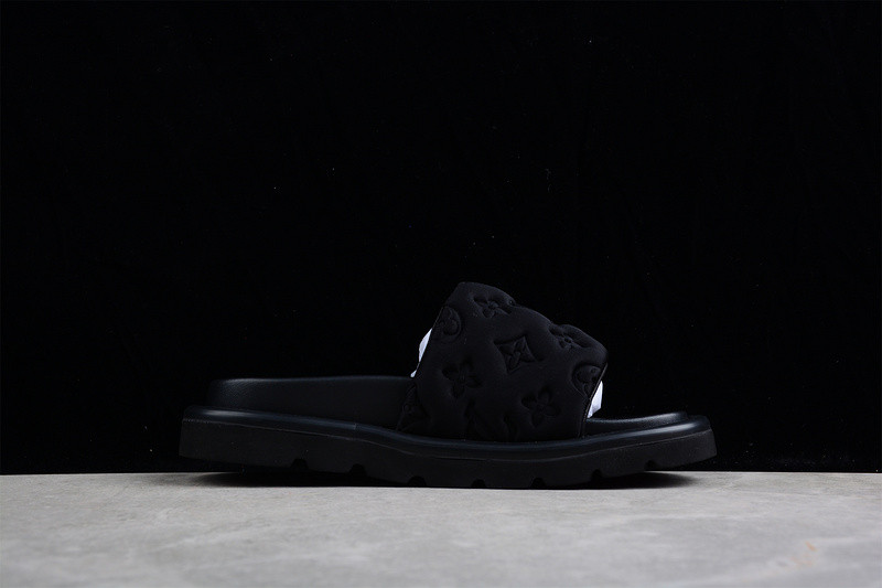 L*V Slides