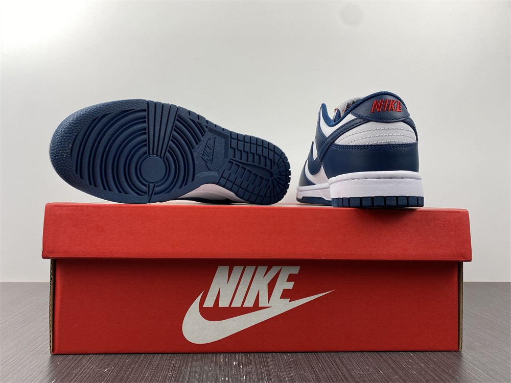 Nike dunk SB Low Retro Valerian Blue DD1391-400