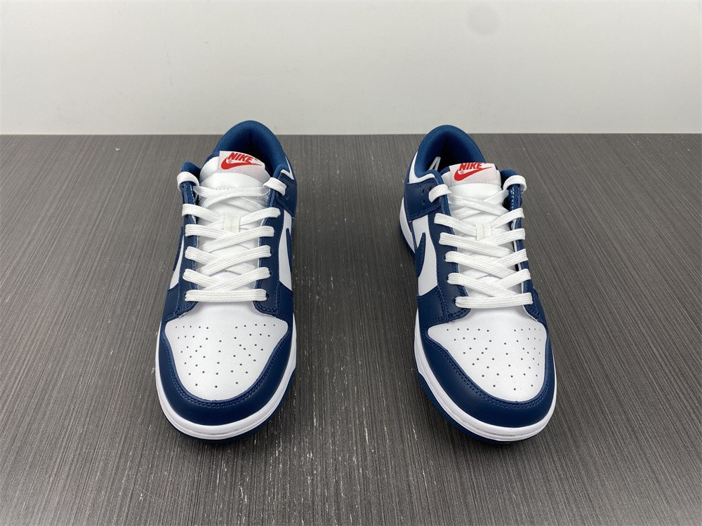 Nike dunk SB Low Retro Valerian Blue DD1391-400