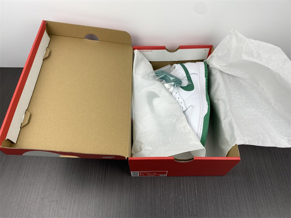 Nike Dunk Low WMNS “Green Noise” DD1503-112