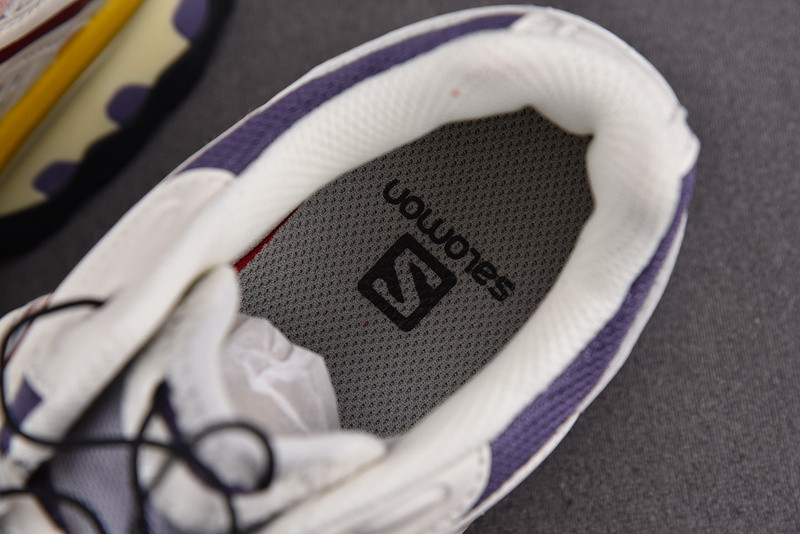 Salomon XT-6 412553
