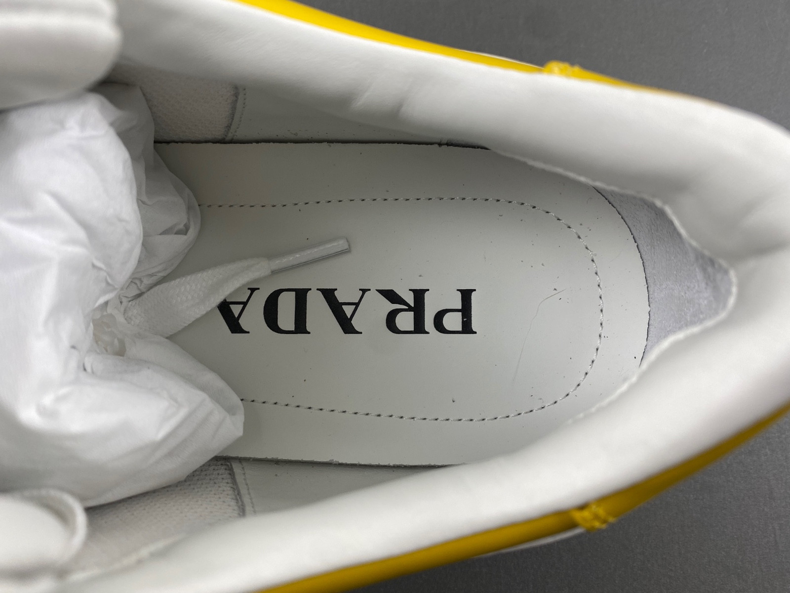 PA Low Sneakers