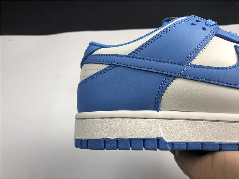 Nike Dunk Low Coast DD1503-100