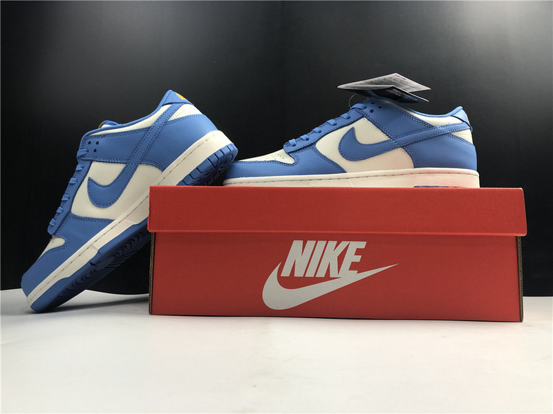 Nike Dunk Low Coast DD1503-100