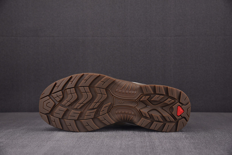 Salomon XT-6 410588